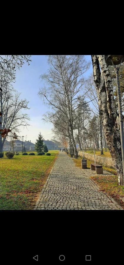Jednosoban Stan Centar Apartamento Pirot Exterior foto