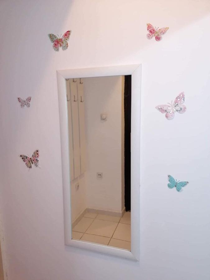 Jednosoban Stan Centar Apartamento Pirot Exterior foto